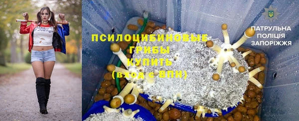 таблы Алзамай