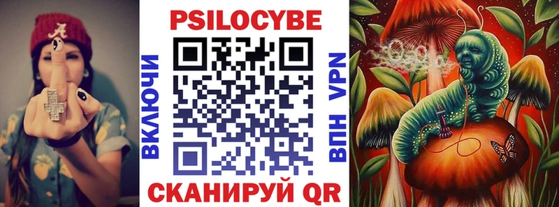 Купить где  Тверь  Галлюциногенные грибы Magic Shrooms 