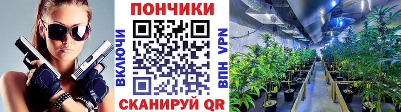 Купить закладки  Тверь  Канабис VHQ 